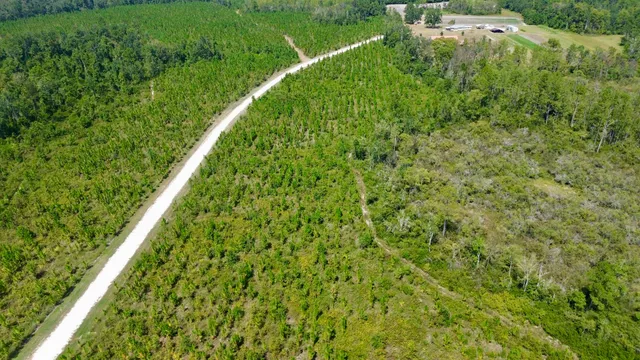 $64,000 | Lot 4 Southwest Wakulla Way, Greenville, FL 32331