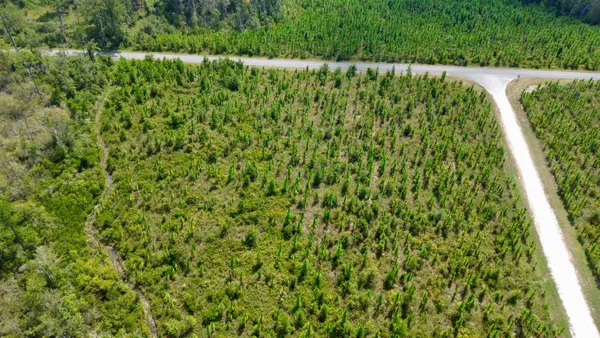 $64,000 | Lot 4 Southwest Wakulla Way, Greenville, FL 32331