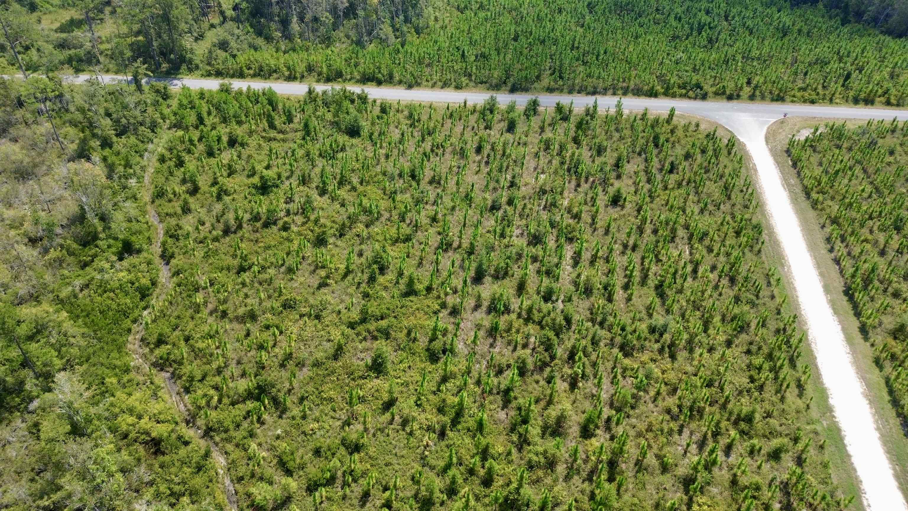 Lot 4 Southwest Wakulla Way Greenville, FL 32331 - Photo 10 of 21