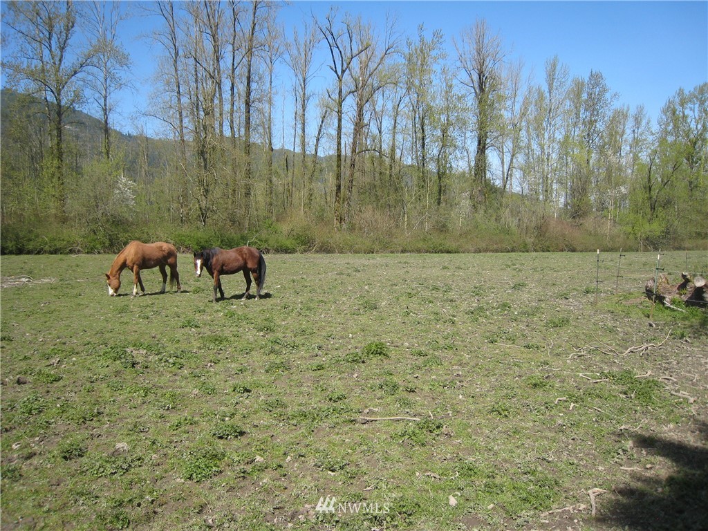 5350 Homesteader Road Deming, WA 98244 - Photo 5 of 23