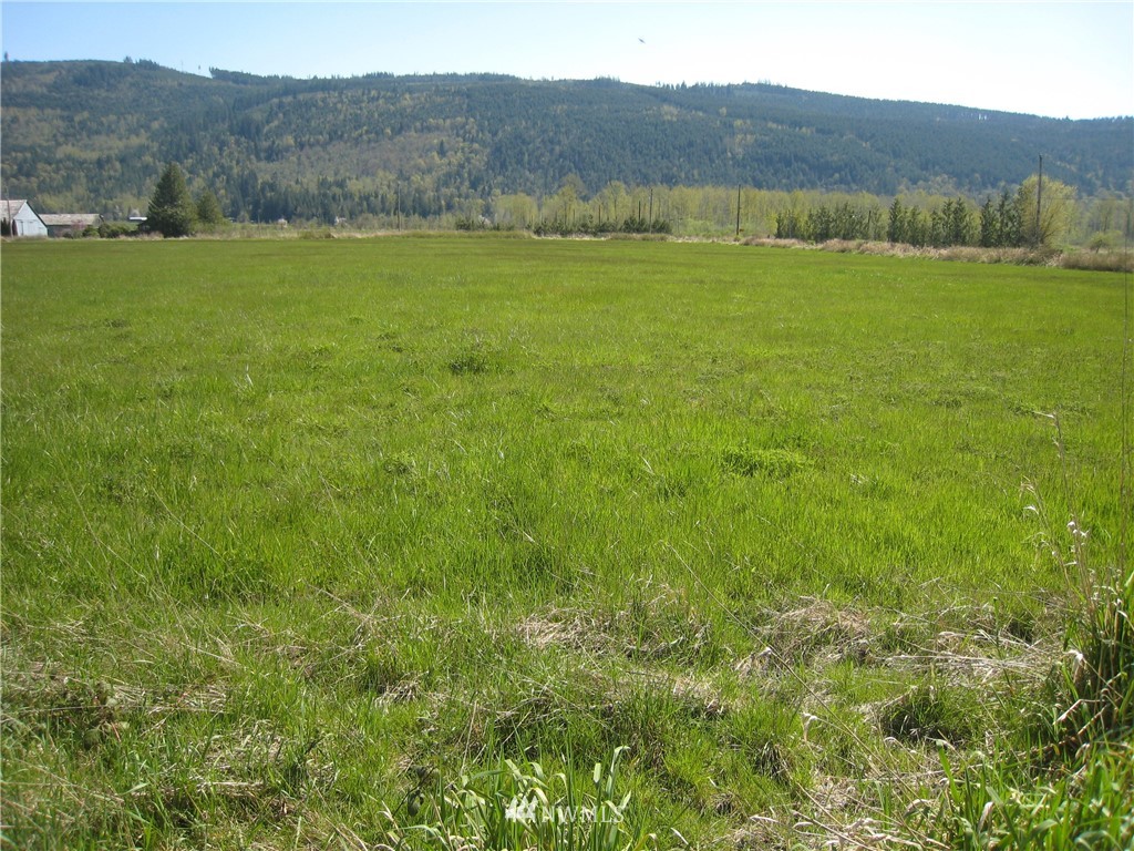 5350 Homesteader Road Deming, WA 98244 - Photo 7 of 23