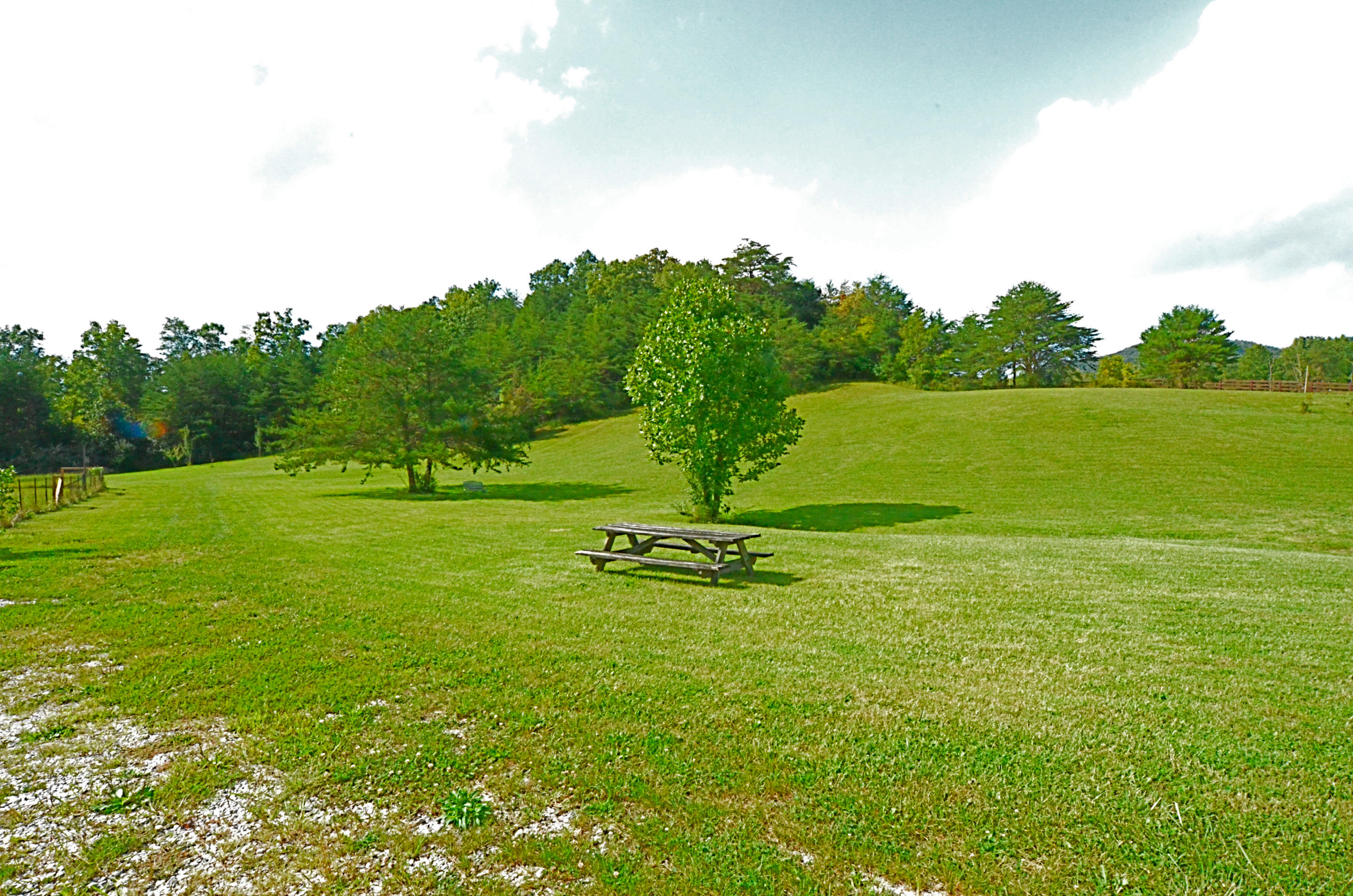 778 Church Road Pioneer, TN 37847 - Photo 20 of 38 Lawn area just outside the house