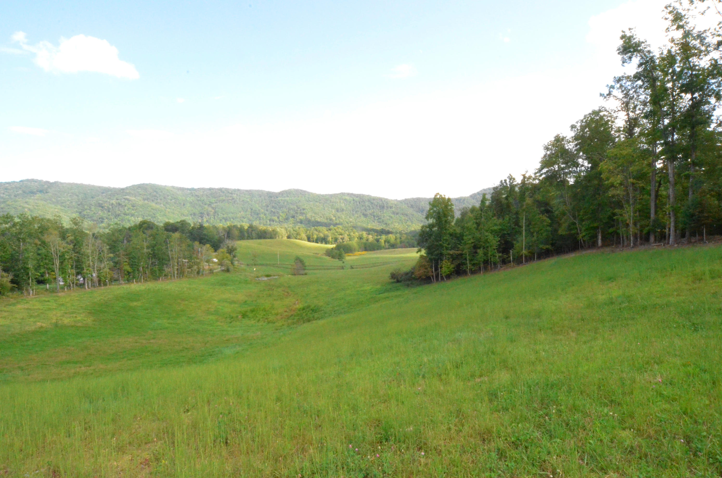 778 Church Road Pioneer, TN 37847 - Photo 23 of 38 Newly fenced and cross-fenced