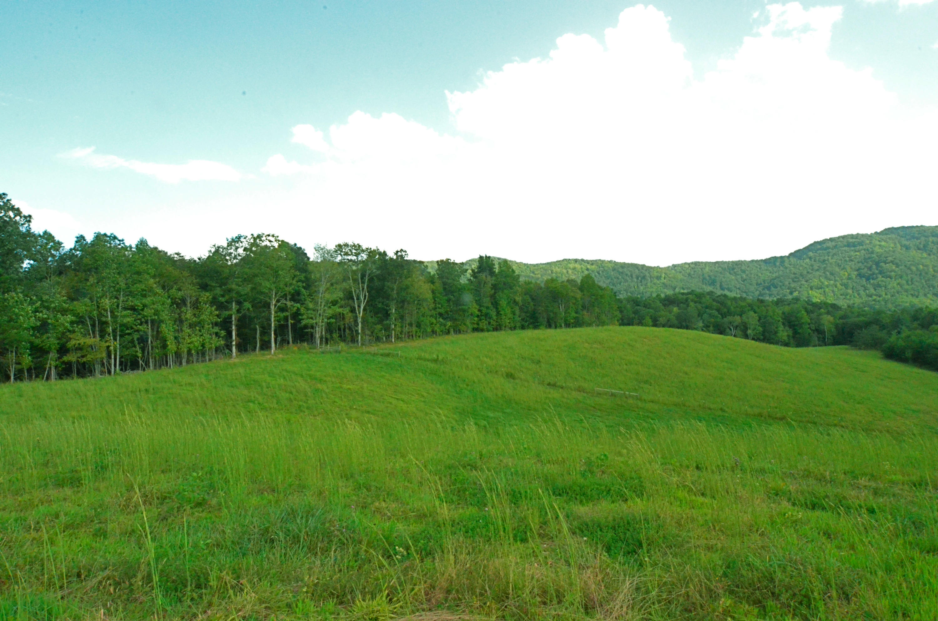 778 Church Road Pioneer, TN 37847 - Photo 24 of 38 Topography and views are ...perfect!