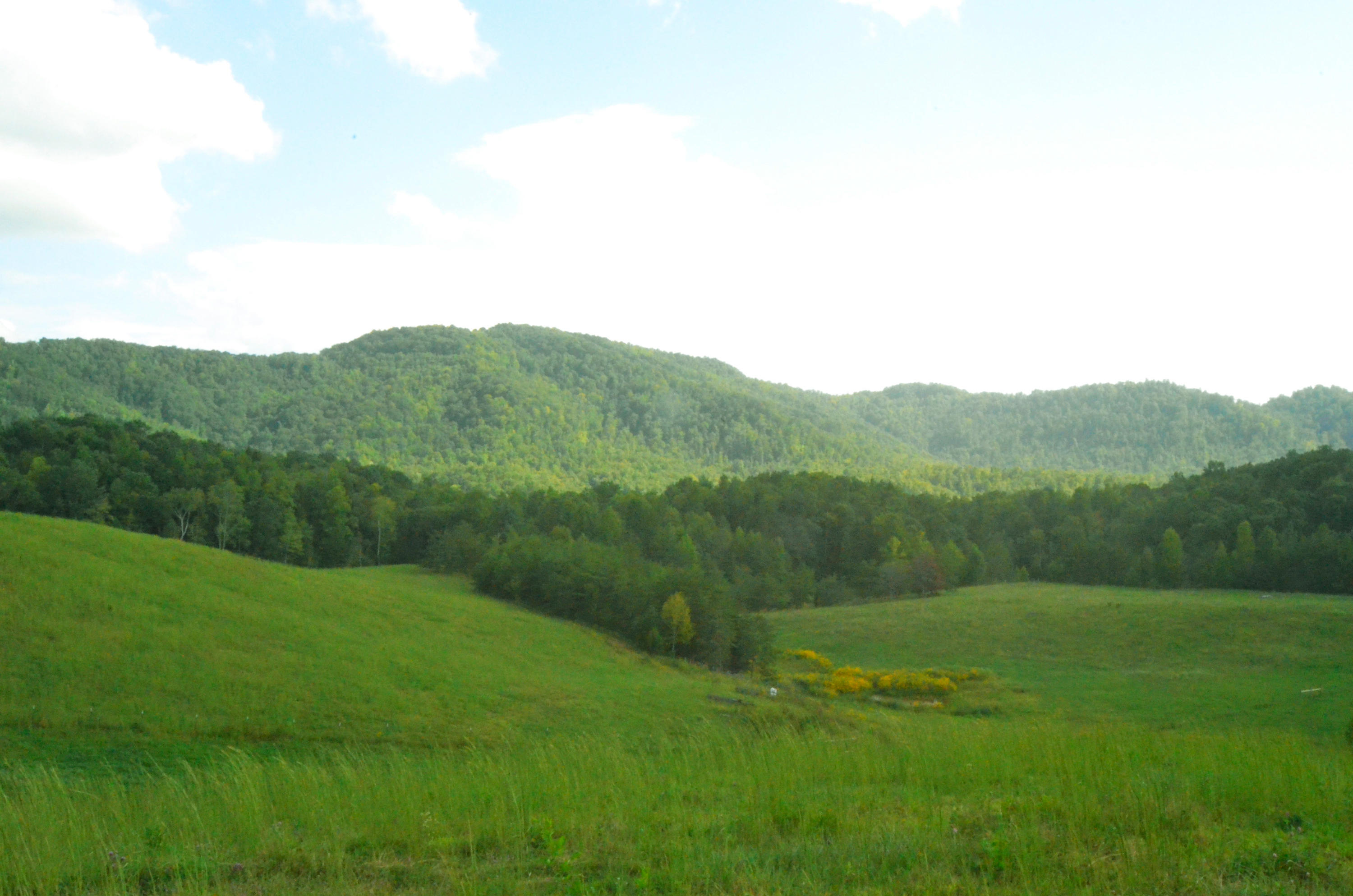 778 Church Road Pioneer, TN 37847 - Photo 25 of 38 Nice views out your window!!!
