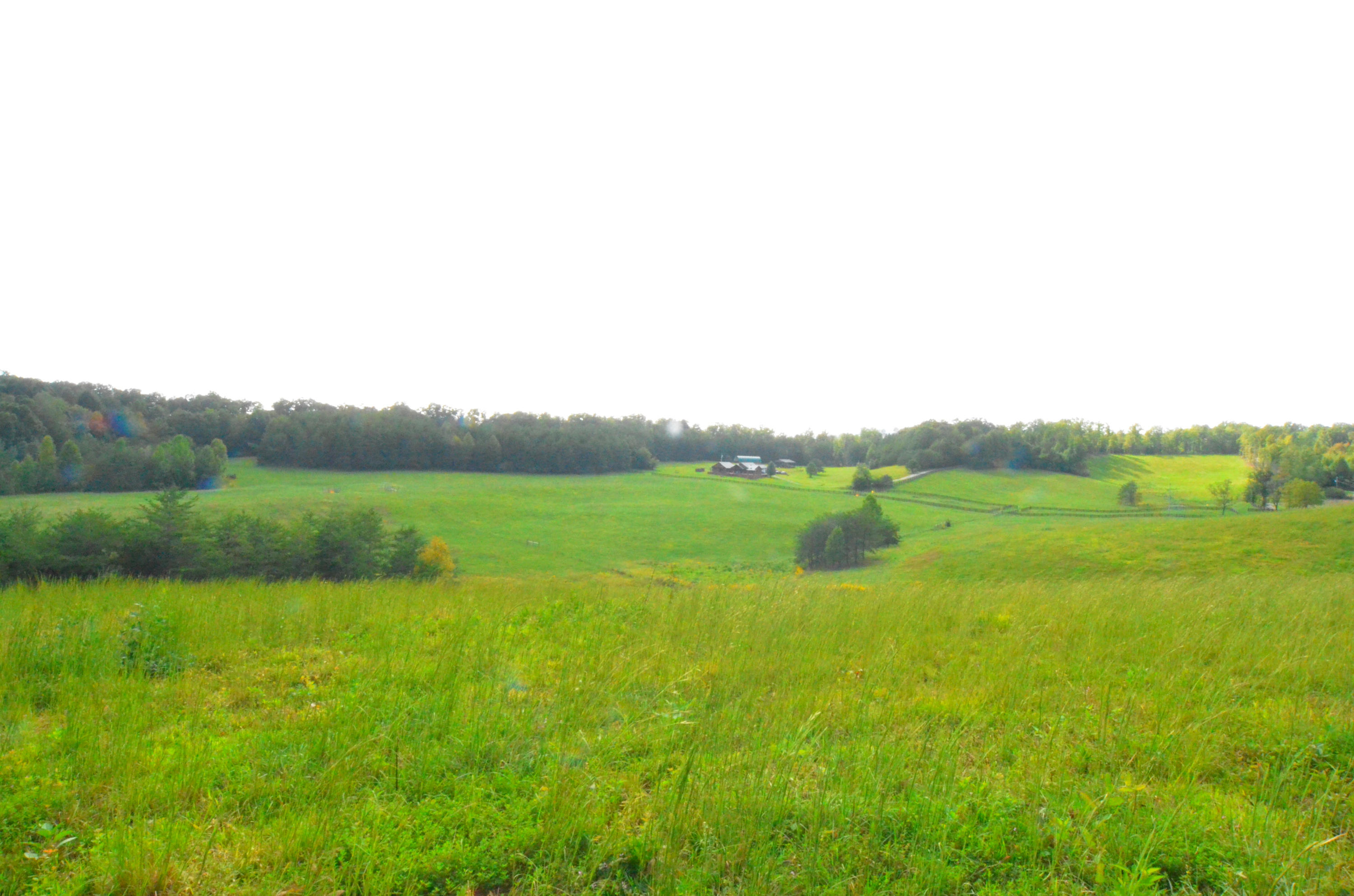 778 Church Road Pioneer, TN 37847 - Photo 27 of 38 Ready for your livestock
