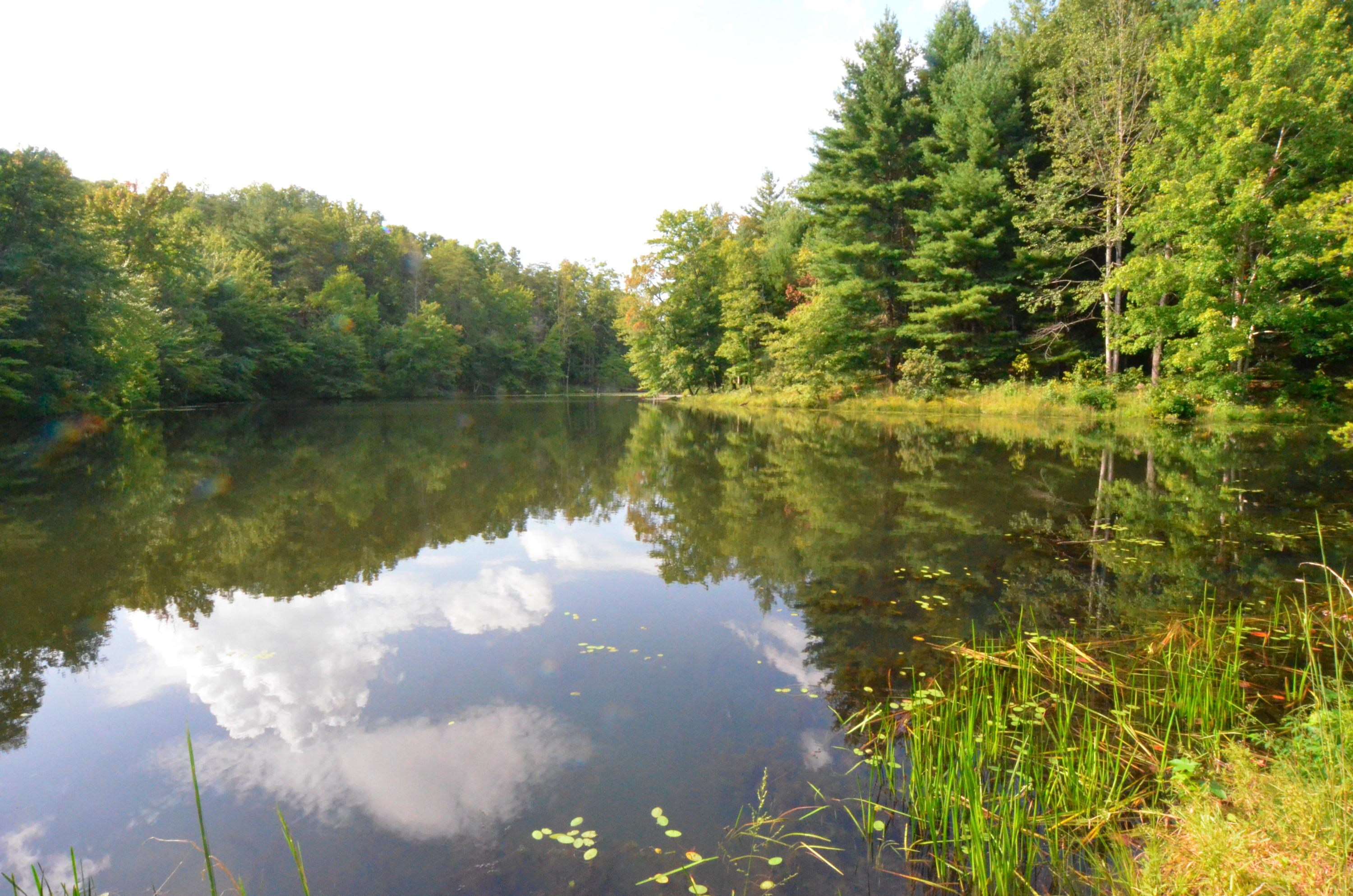 778 Church Road Pioneer, TN 37847 - Photo 30 of 38 Clouds reflecting in the clean water!