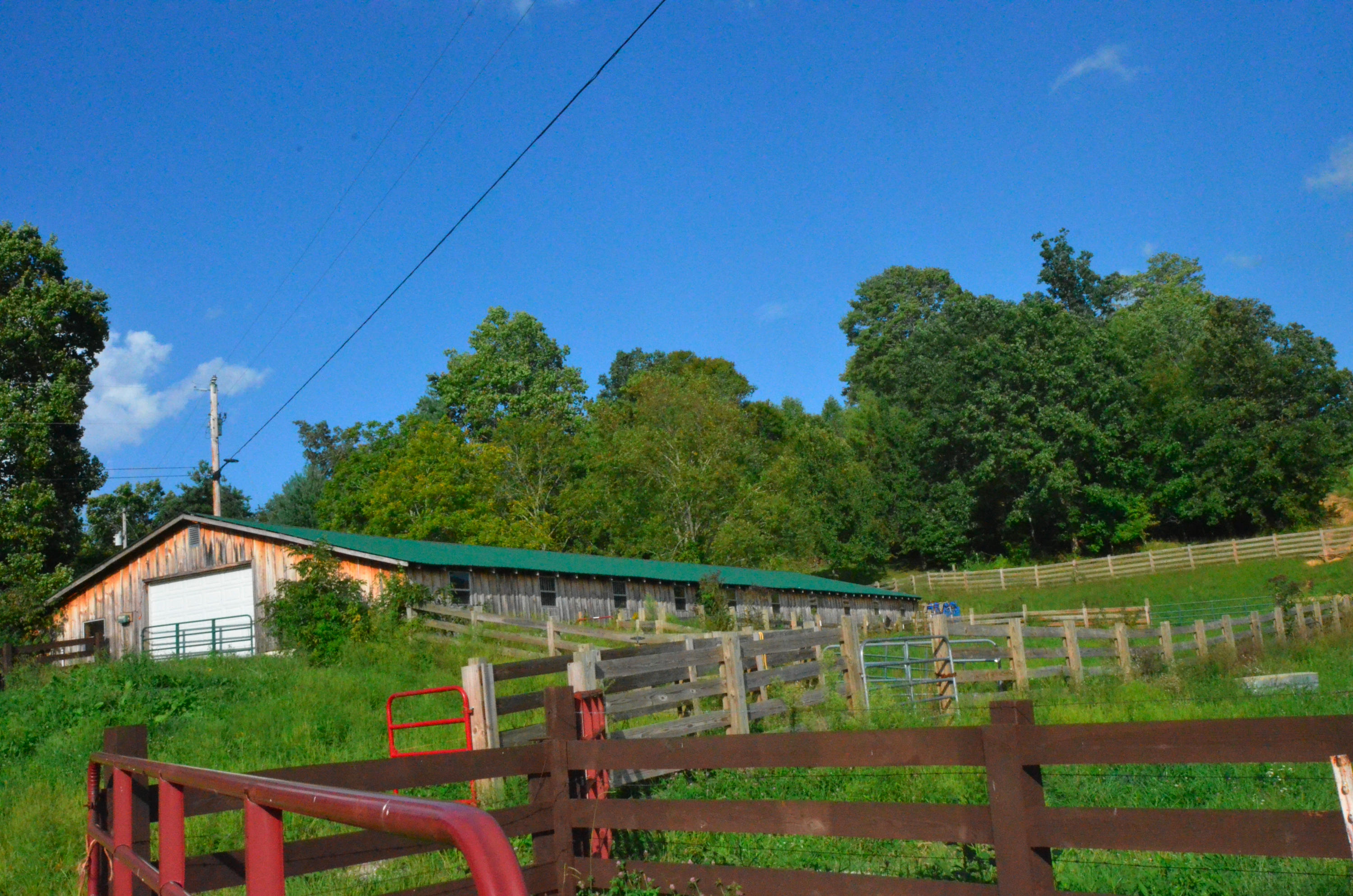 778 Church Road Pioneer, TN 37847 - Photo 37 of 38 Enormous barn w/elec, water and office