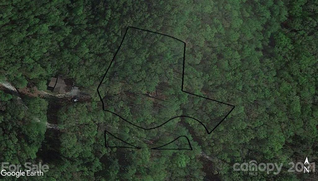 Tract B Burrell Mountain Road Brevard, NC 28712 - Photo 3 of 3 Gallery Image 3
