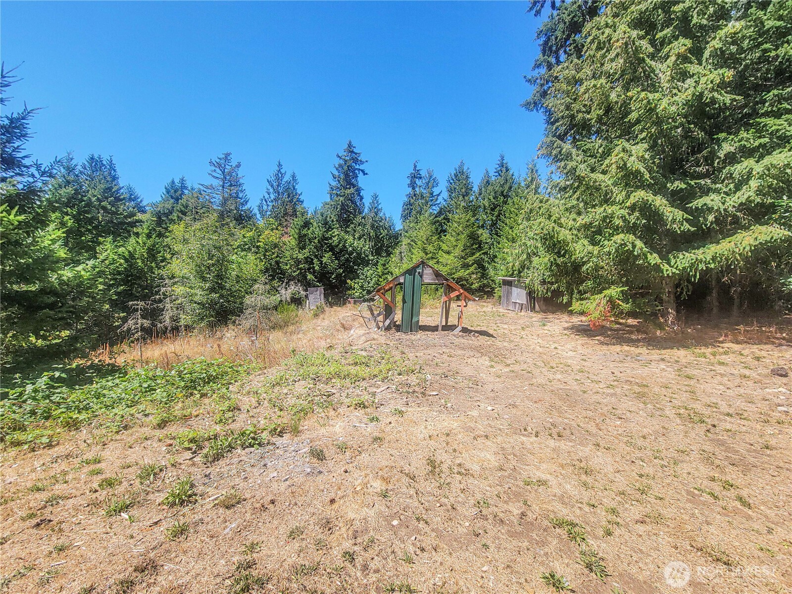 201 Mt Jupiter Road Brinnon, WA 98320 - Photo 5 of 23 Gallery Image 5