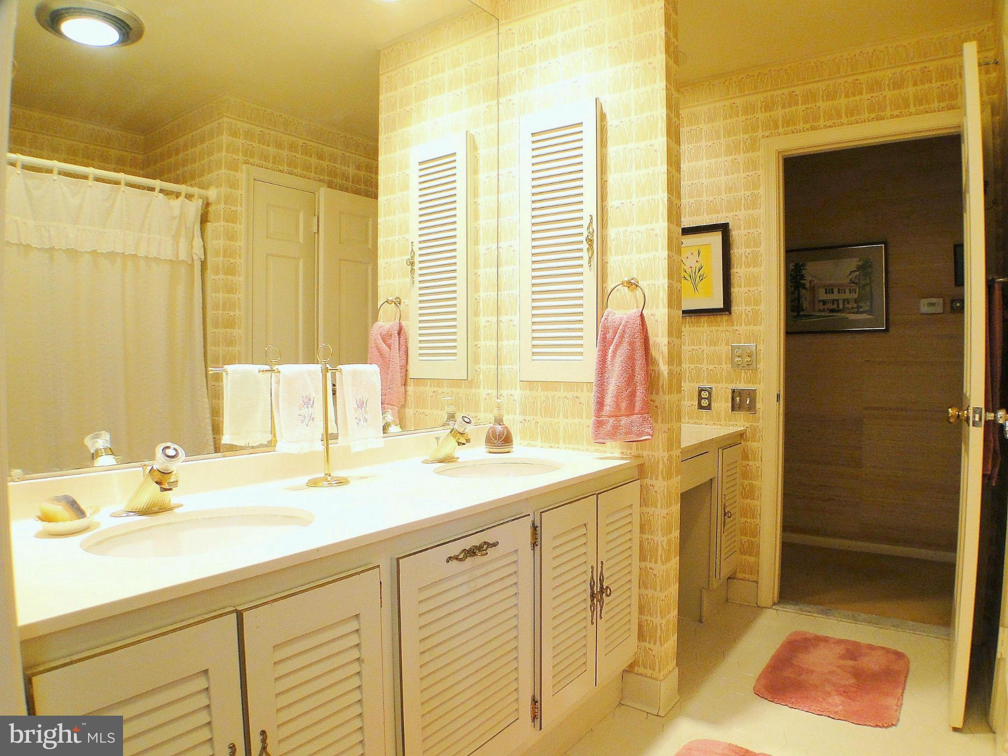 13408 Bladon Road Phoenix, MD 21131 - Photo 22 of 30 Second full bath with double sinks on main level