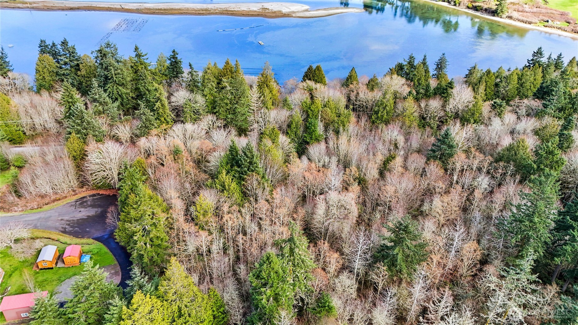 0 Lylus Lane Port Hadlock, WA 98339 - Photo 7 of 11 a view of a yard