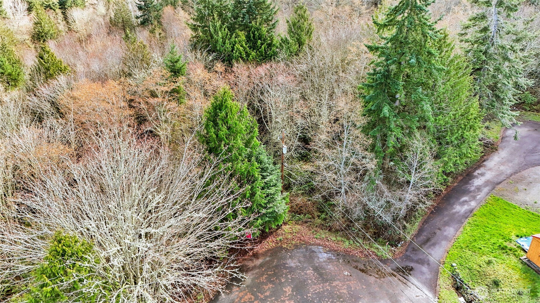 0 Lylus Lane Port Hadlock, WA 98339 - Photo 9 of 11 a backyard of a house with lots of green space