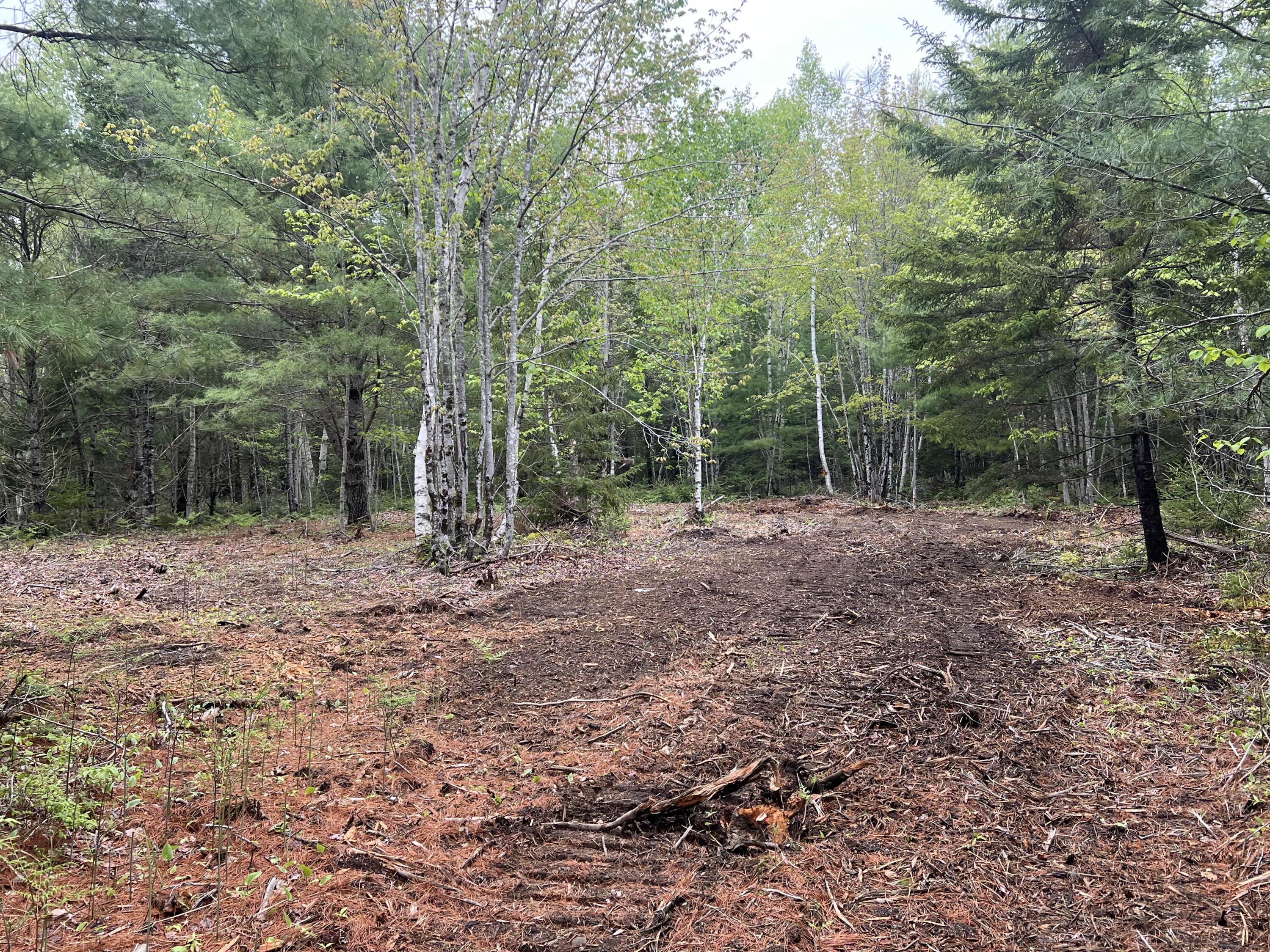 4 Taylor Woods Road Ellsworth, ME 04605 - Photo 5 of 8 IMG_5840