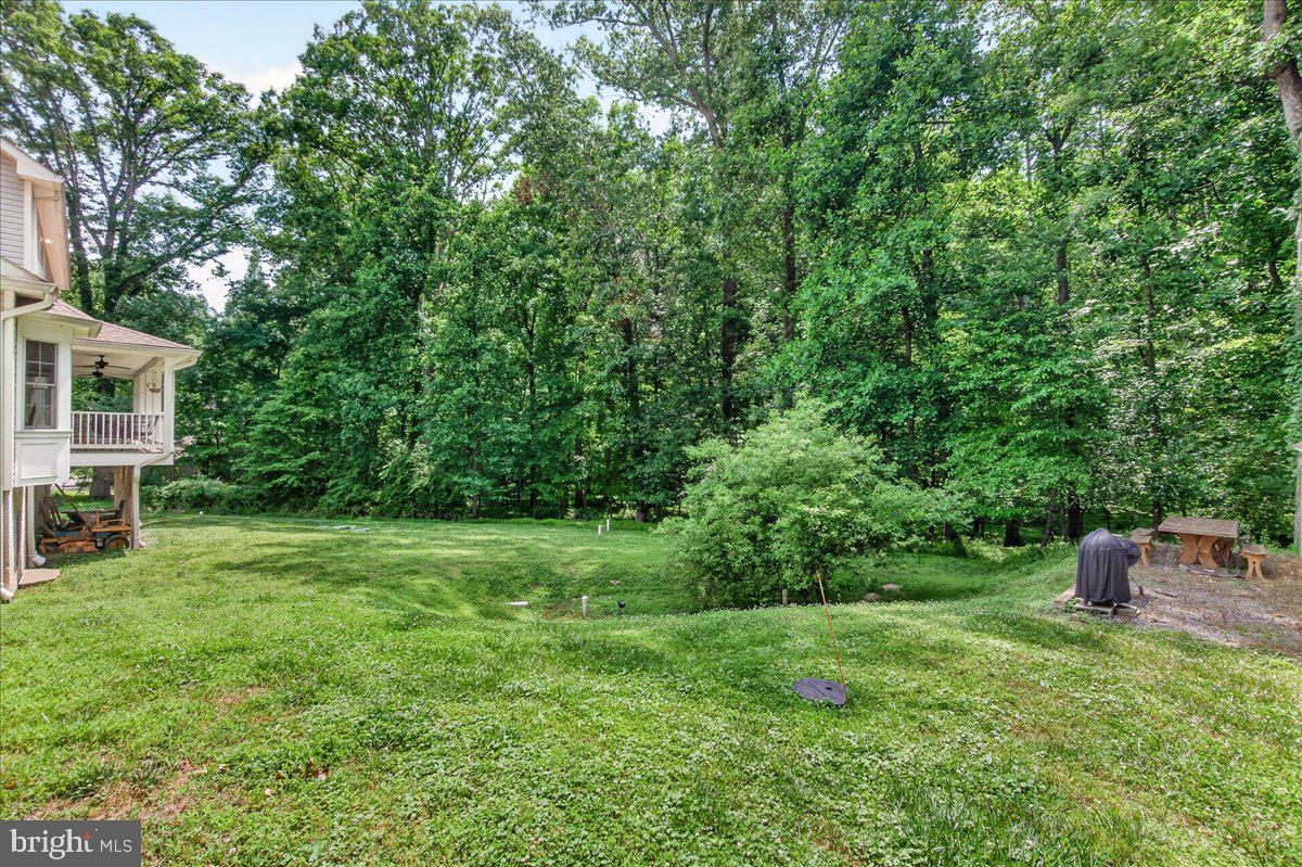 2516 Daisy Road Woodbine, MD 21797 - Photo 7 of 78 2.99 Acres of Privacy!