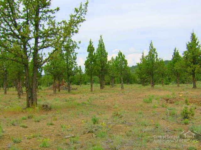 13051 Southeast Falcon Ridge Road Prineville, OR 97754 - Photo 4 of 7 Additional Photo