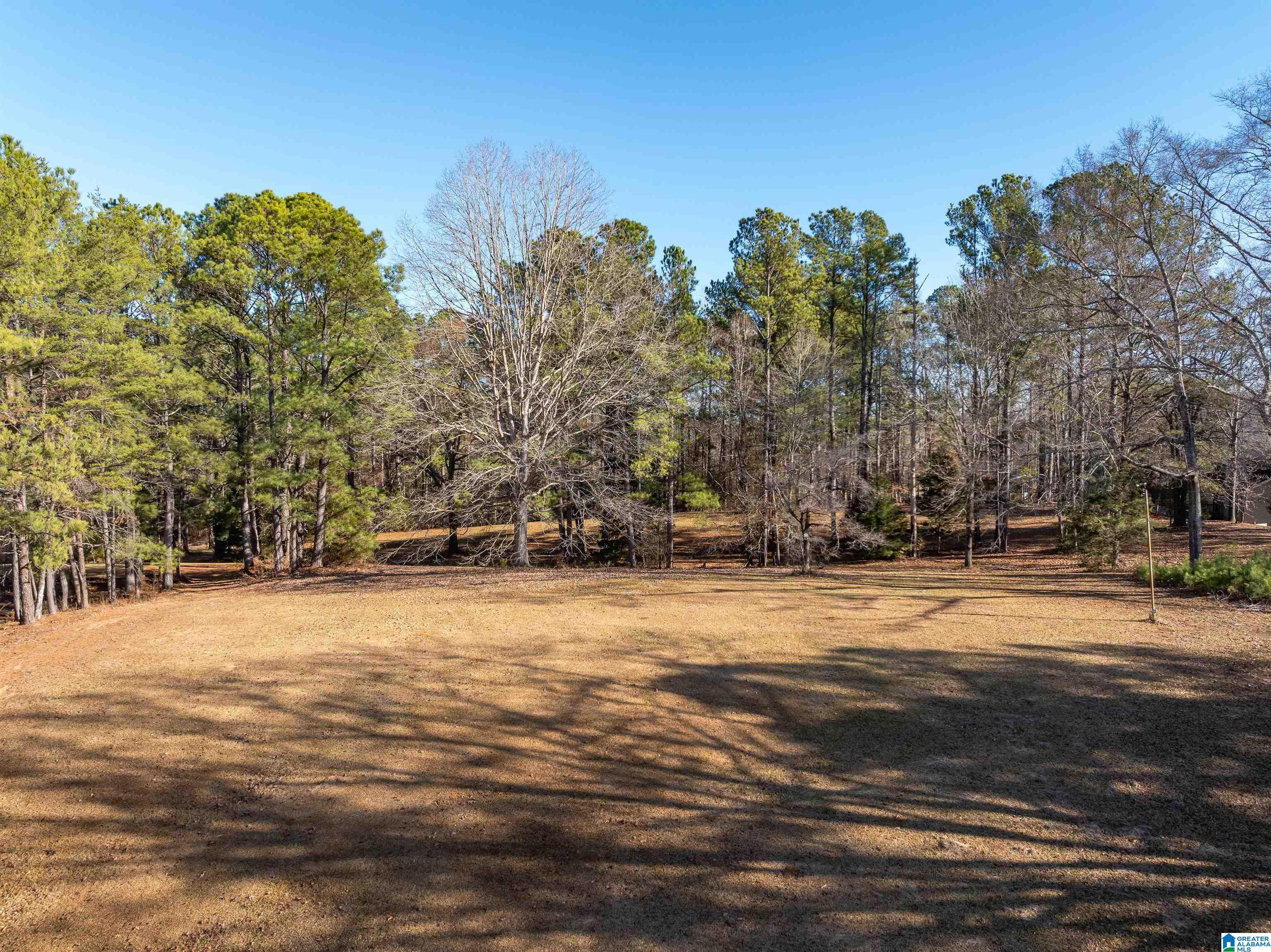 3342 County Road 39 Chelsea, AL 35043 - Photo 52 of 63