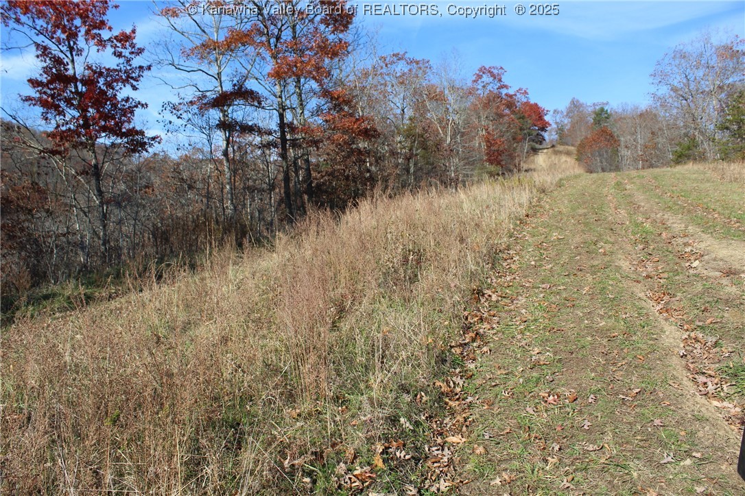 558 Sears Run Road Chloe, WV 25235 - Photo 22 of 29 Gallery Image 22