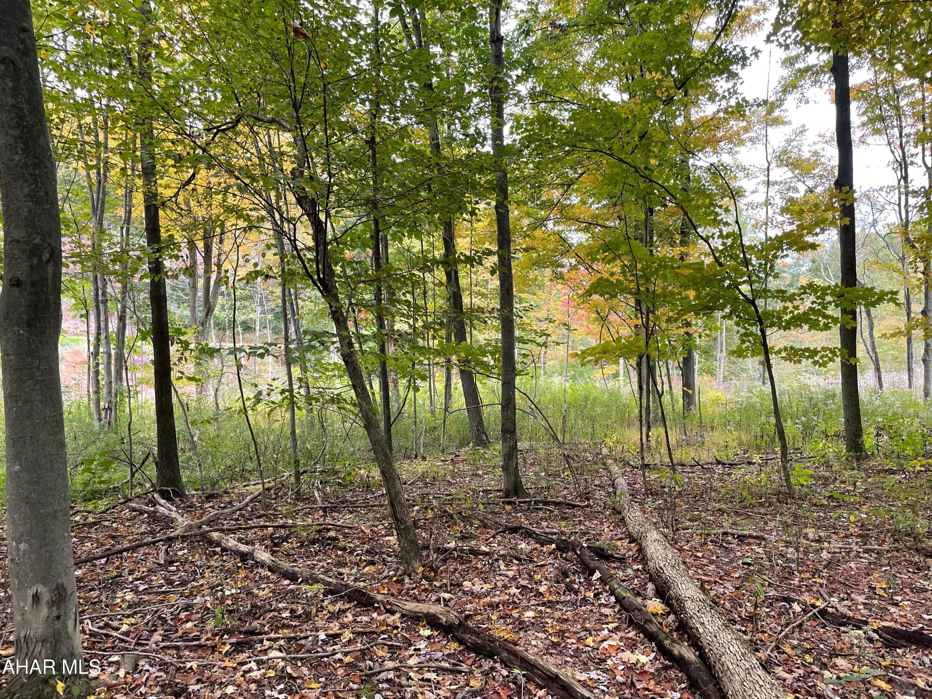 2491 Baughman Cemetery Road Tyrone, PA 16686 - Photo 4 of 19