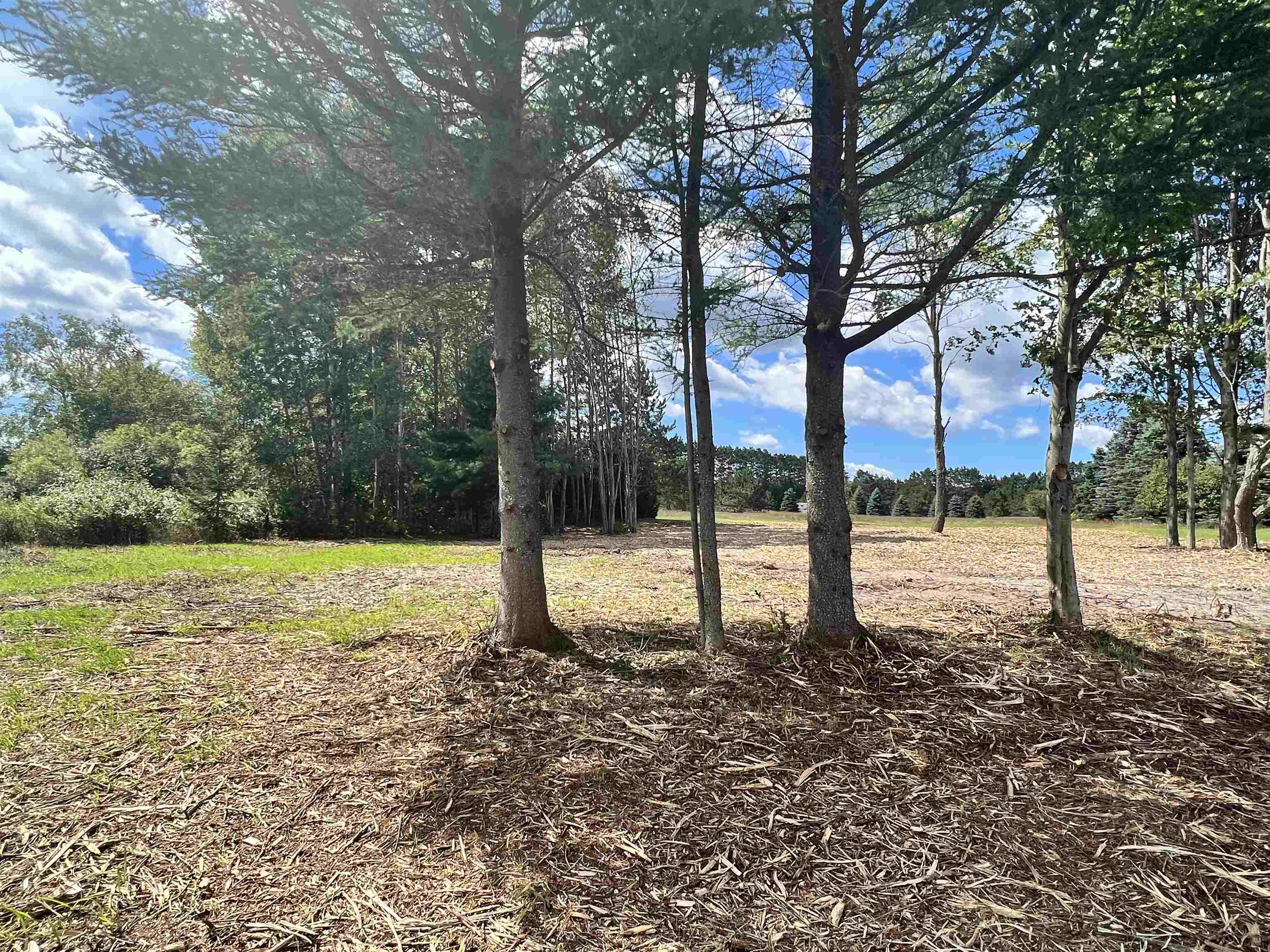 E East 32nd Road Cadillac, MI 49601 - Photo 6 of 12