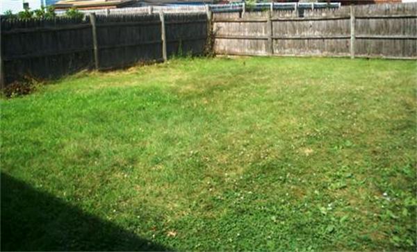1033 Allen Street Springfield, MA 01118 - Photo 8 of 27