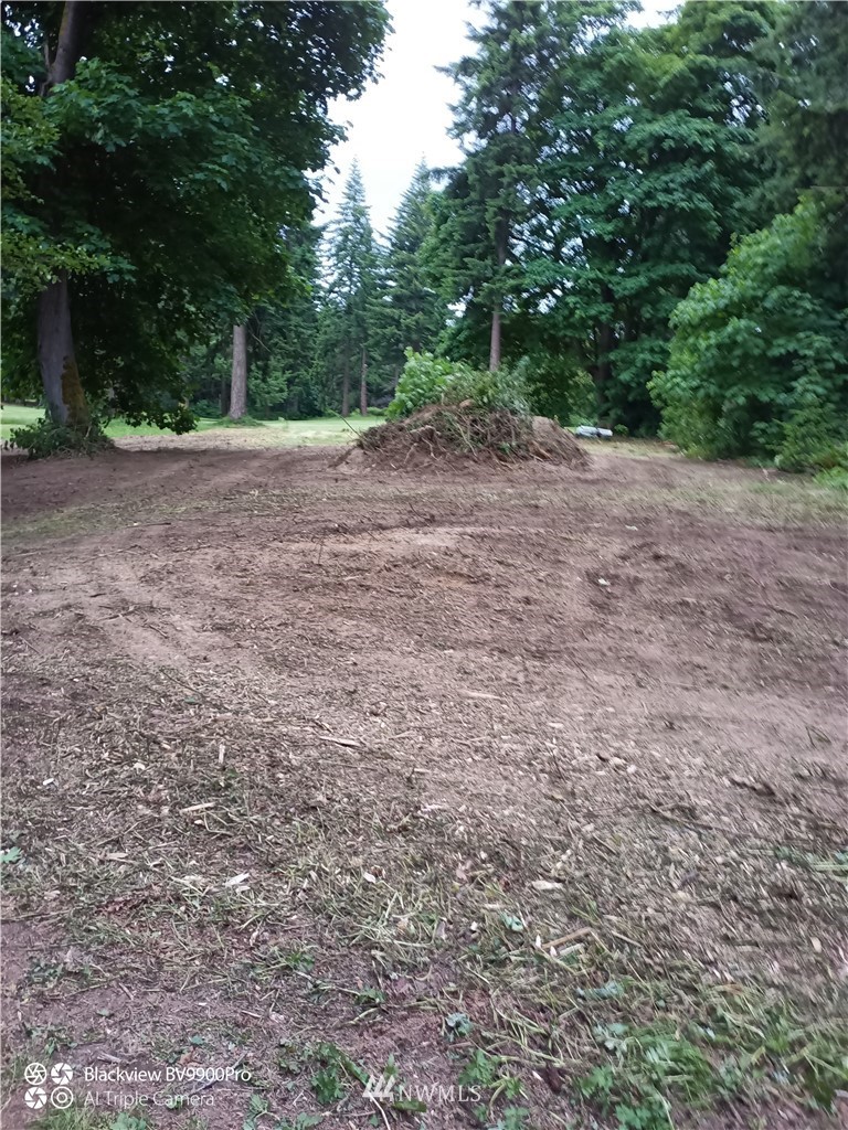 a view of dirt with trees