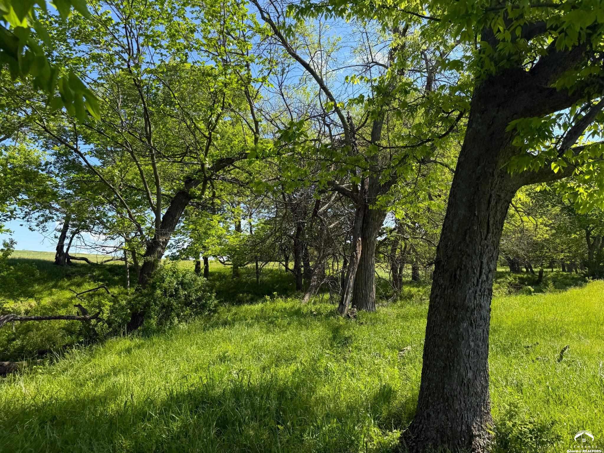 919 North 100th Road Baldwin City, KS 66006 - Photo 15 of 24
