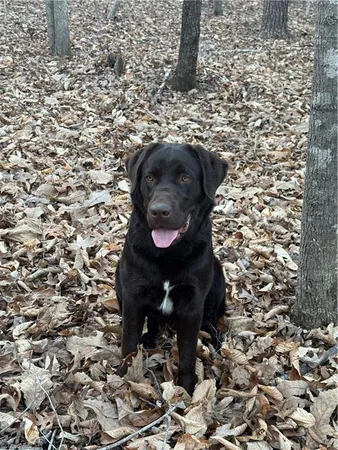 $49,900 | 1 Estate Drive, Providence, NC 27315