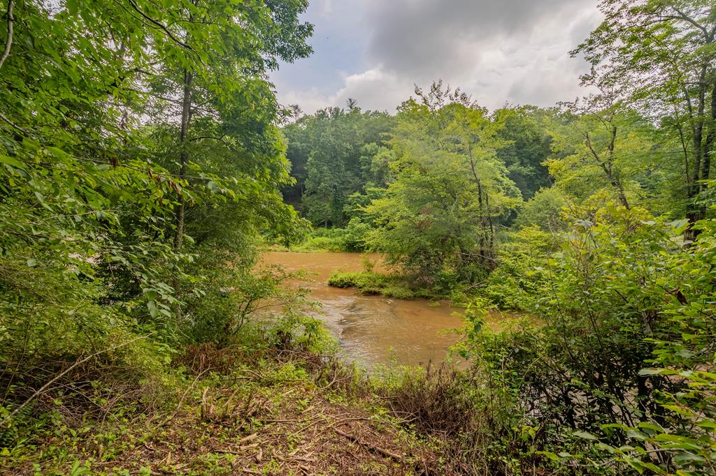 Tbd River Road, Unit 74 Hillsville, VA 24343 - Photo 21 of 31 Gallery Image 21