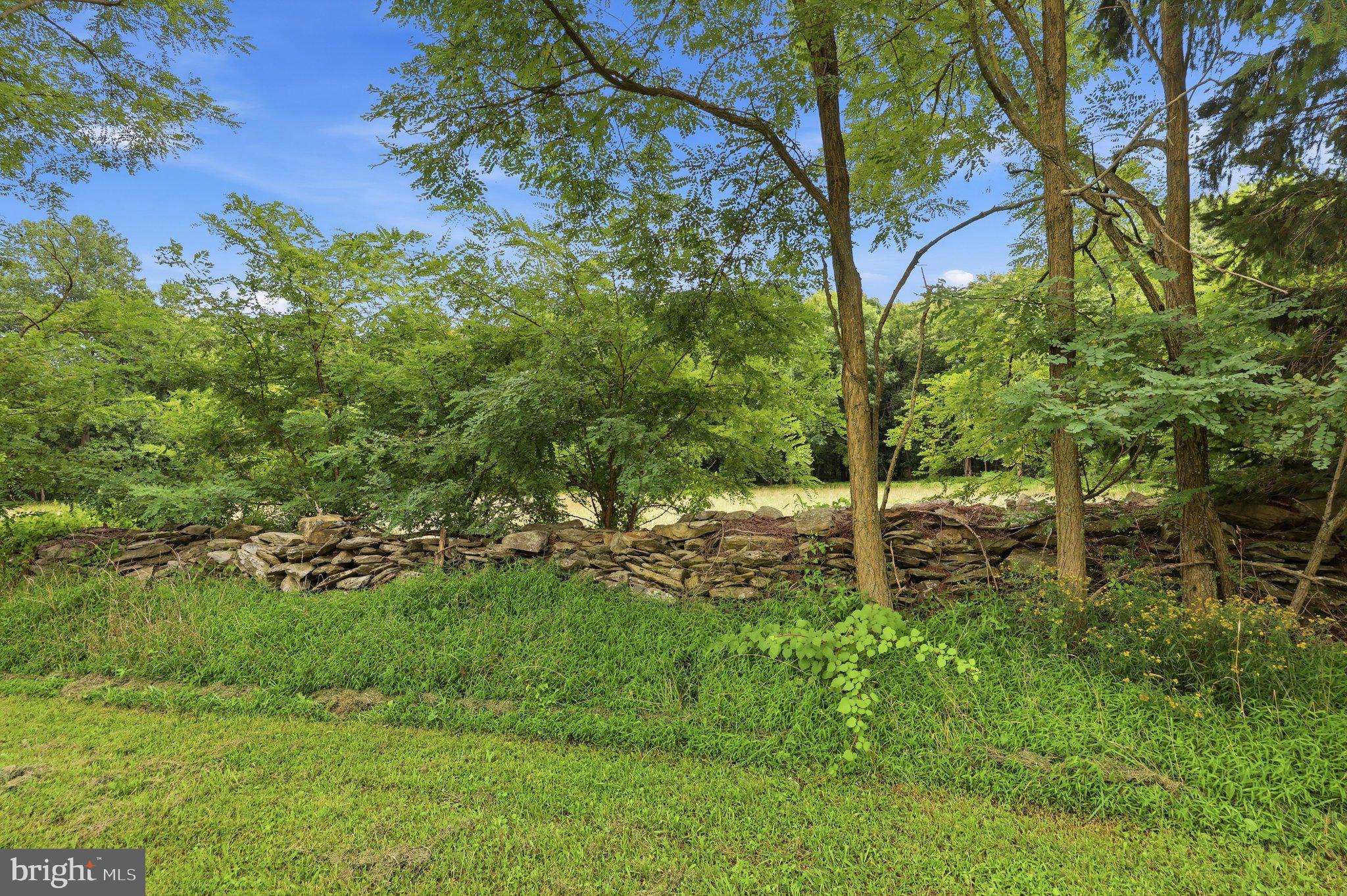 14417 Ridenour Road Smithsburg, MD 21783 - Photo 2 of 41 Stone Wall