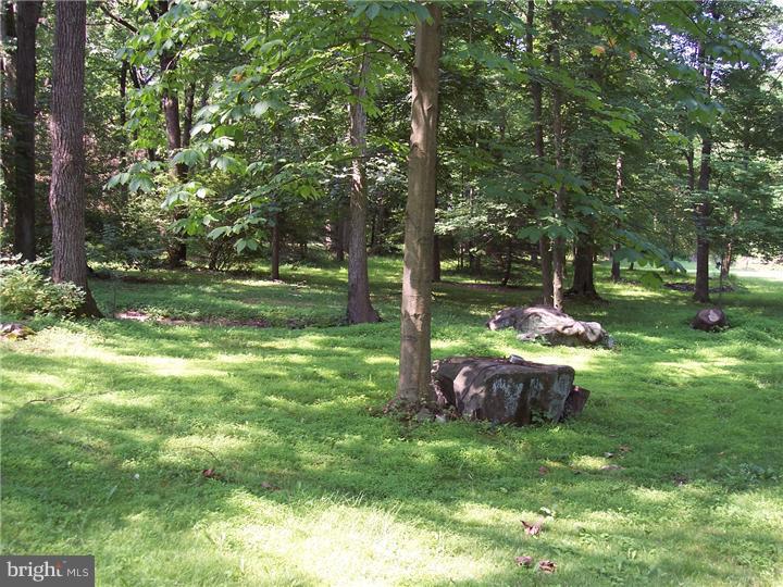 3802 Sterner Mill Road Quakertown, PA 18951 - Photo 21 of 24 View in Back