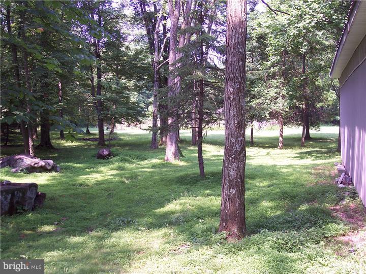 3802 Sterner Mill Road Quakertown, PA 18951 - Photo 22 of 24 Side Yard
