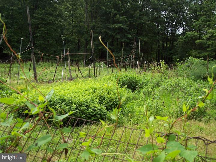 3802 Sterner Mill Road Quakertown, PA 18951 - Photo 24 of 24 Garden