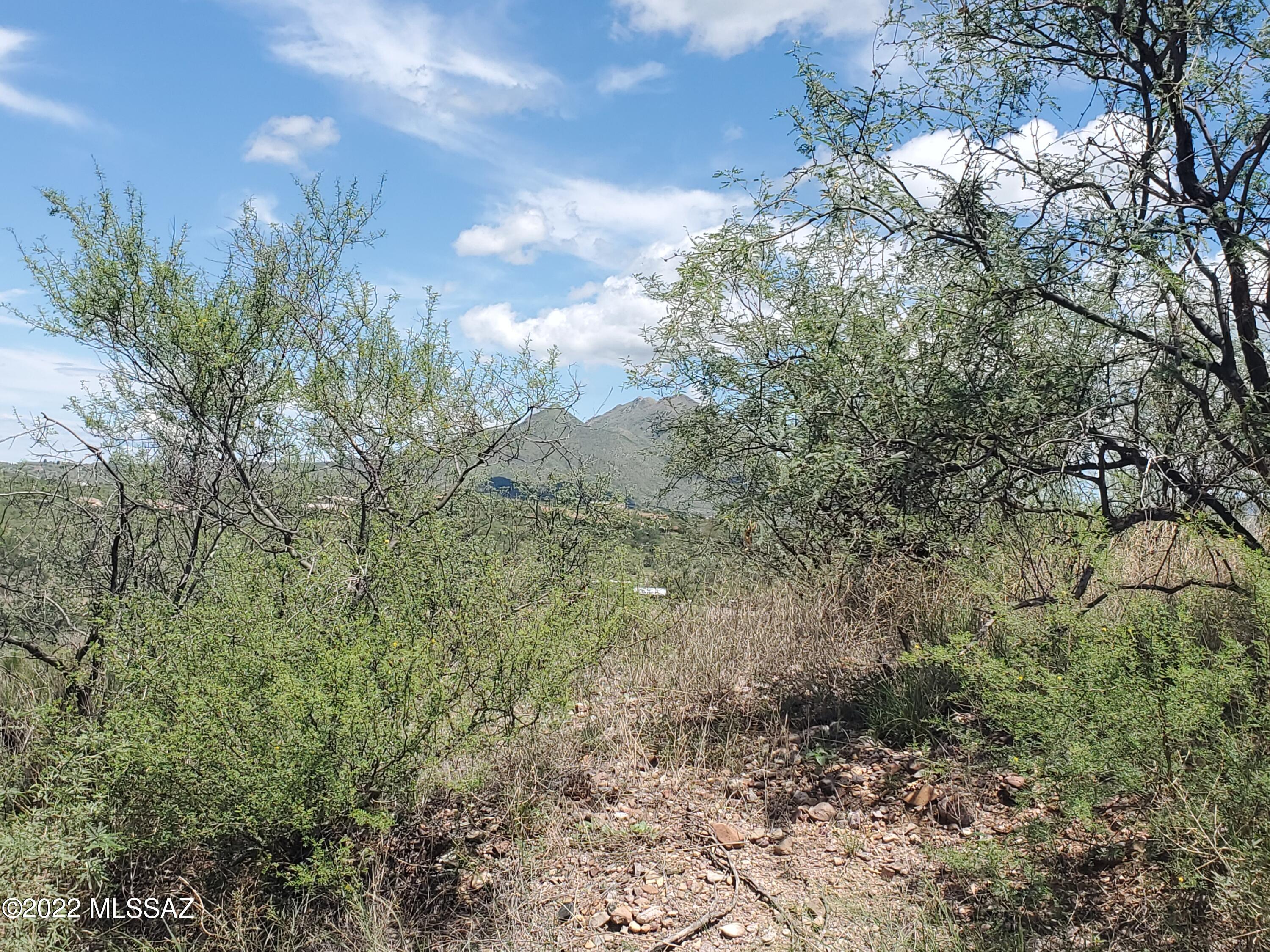 211 Paseo Mascota, Unit 4 Rio Rico, AZ 85648 - Photo 8 of 15