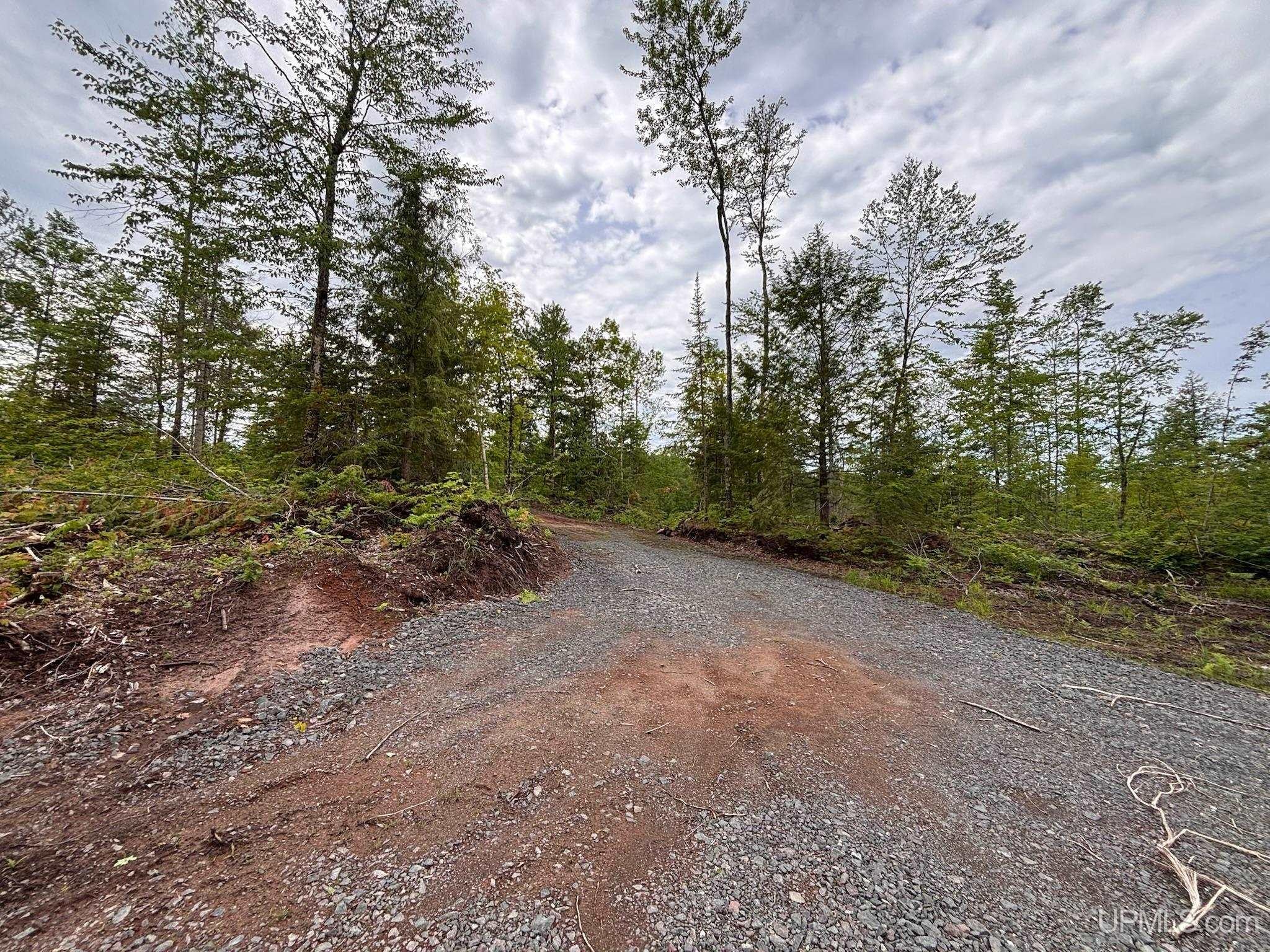 Tbd Pike Lake Road Toivola, MI 49965 - Photo 7 of 41 Gallery Image 7