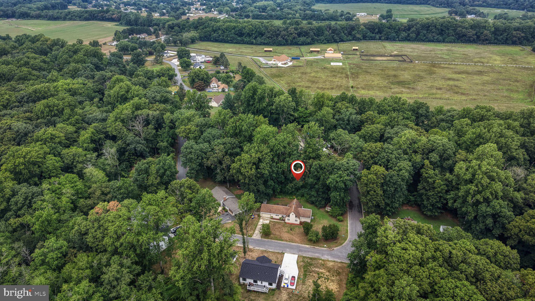 163 Pratts Branch Road Felton, DE 19943 - Photo 39 of 55 Serene retreat amidst lush greenery.