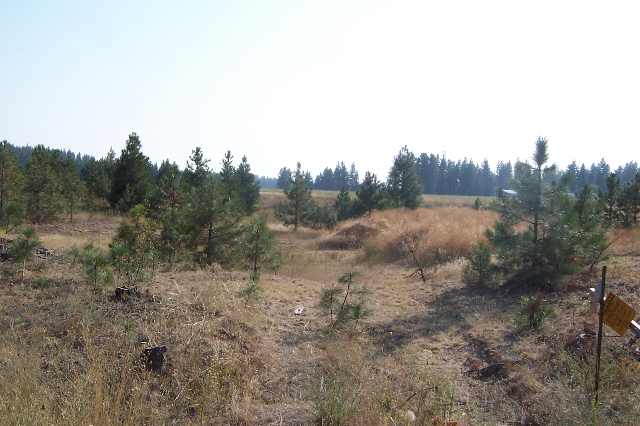 0 West Woolard Road Deer Park, WA 99006 - Photo 3 of 5