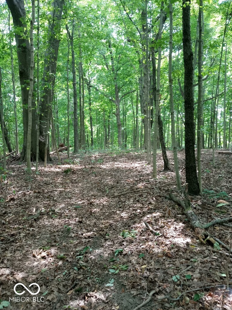 0 East 214th Street Sheridan, IN 46069 - Photo 2 of 6