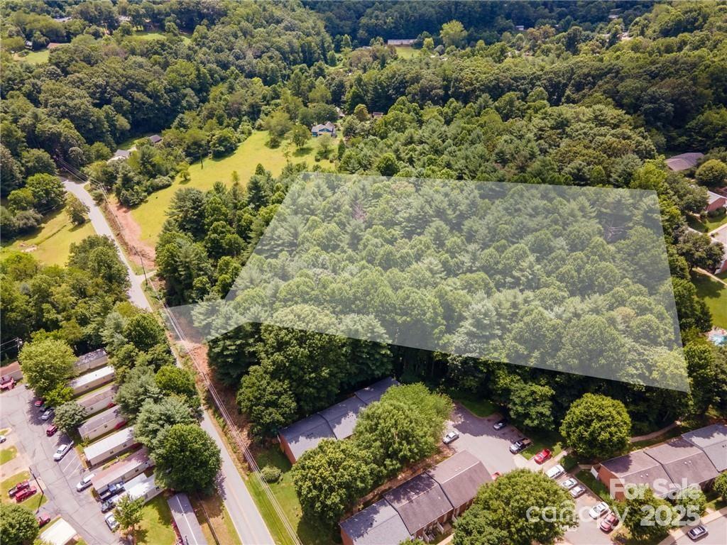 9999 Pisgah View Road Asheville, NC 28806 - Photo 2 of 10