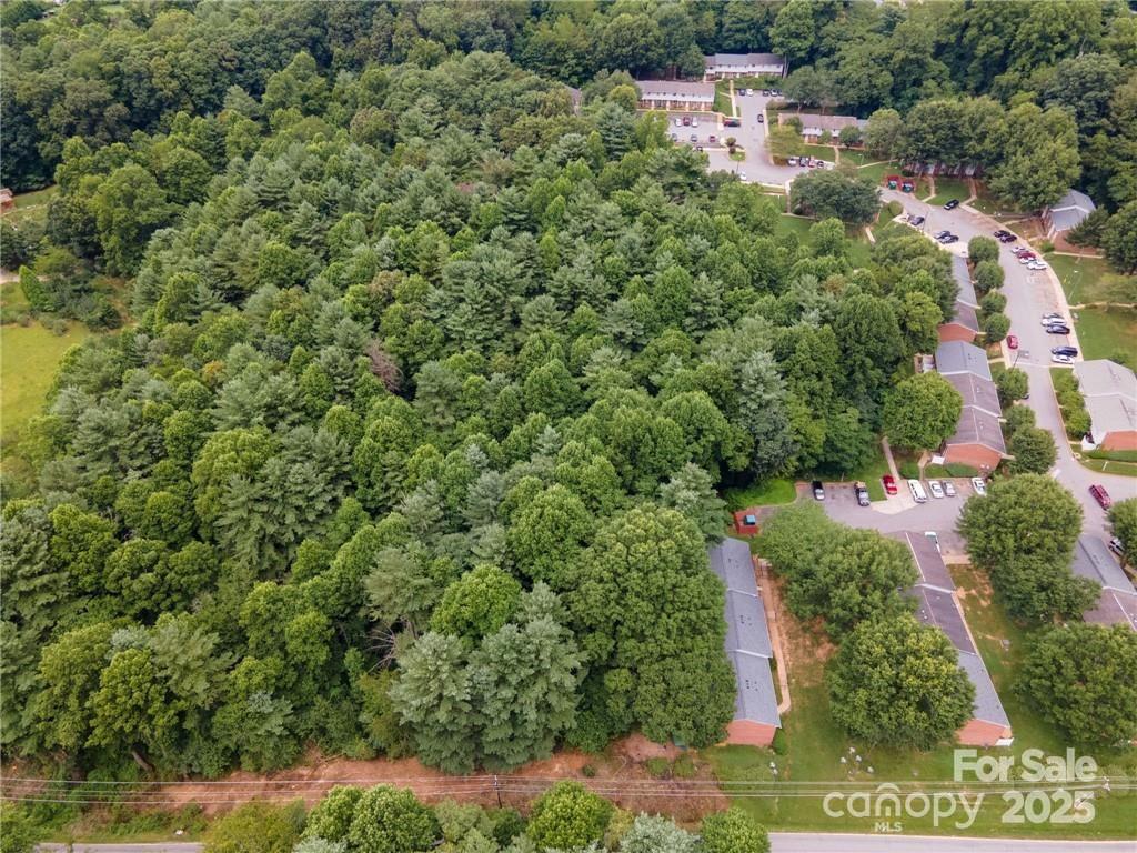 9999 Pisgah View Road Asheville, NC 28806 - Photo 3 of 10