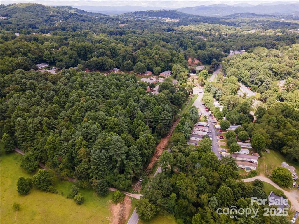 9999 Pisgah View Road Asheville, NC 28806 - Photo 5 of 10