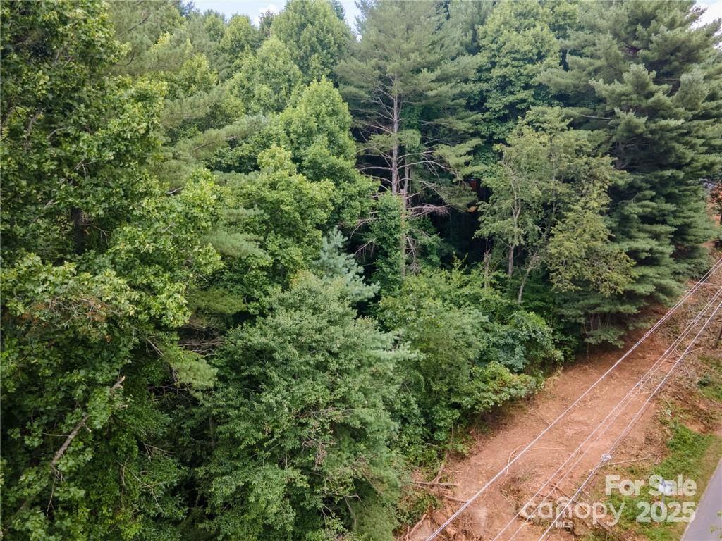 9999 Pisgah View Road Asheville, NC 28806 - Photo 7 of 10