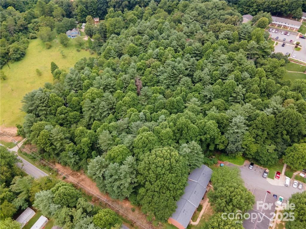 9999 Pisgah View Road Asheville, NC 28806 - Photo 8 of 10