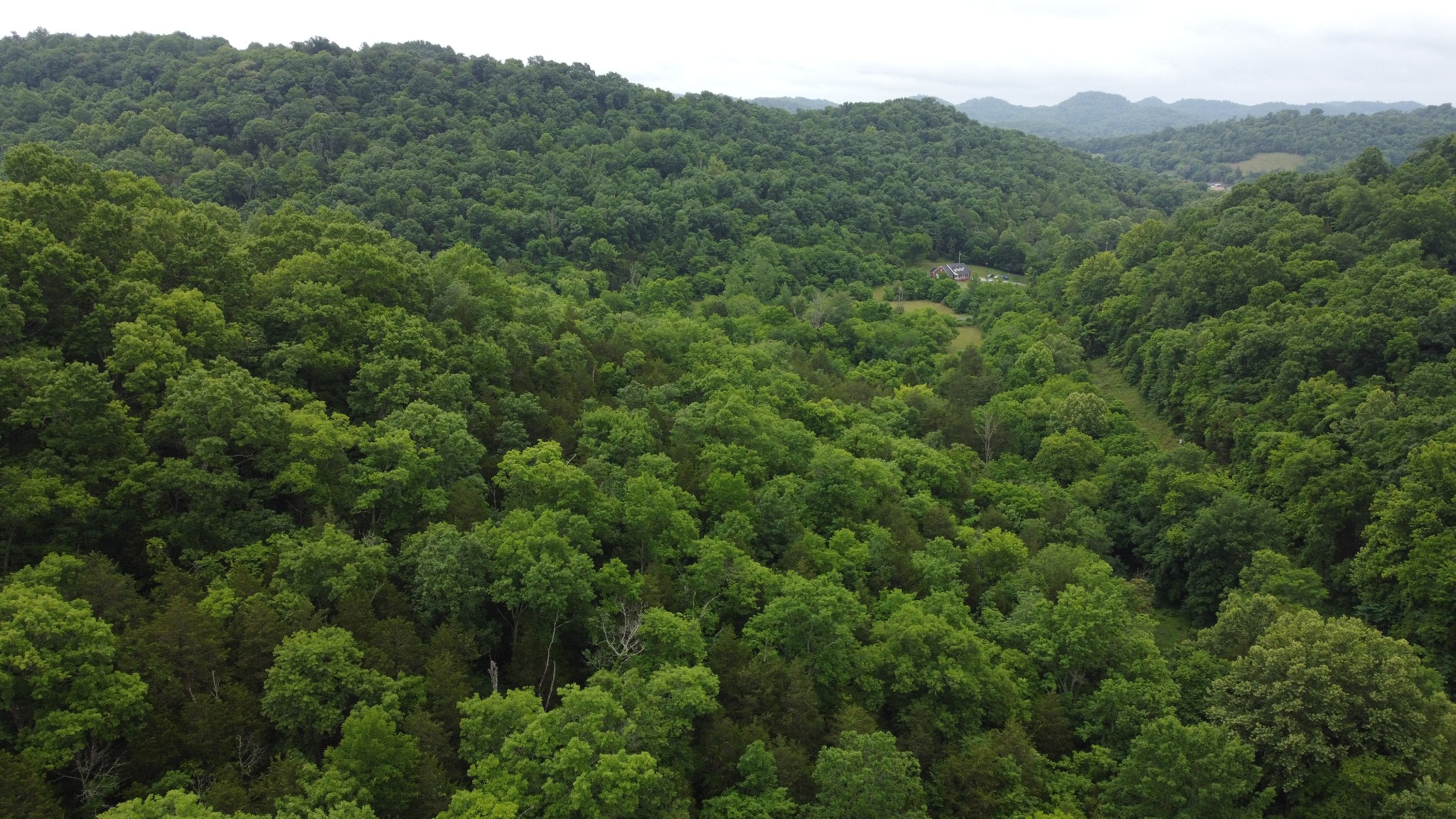 32 Patterson Lane Pleasant Shade, TN 37145 - Photo 15 of 33