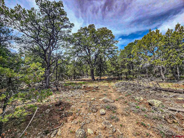 $165,000 | Lot 7 Wild Turkey Lane, Cedaredge, CO 81413