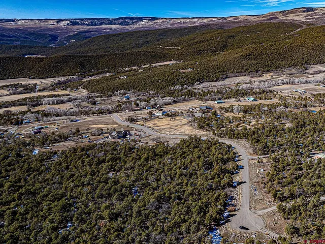 $165,000 | Lot 7 Wild Turkey Lane, Cedaredge, CO 81413