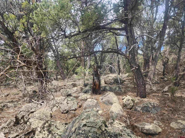 a close view of sink
