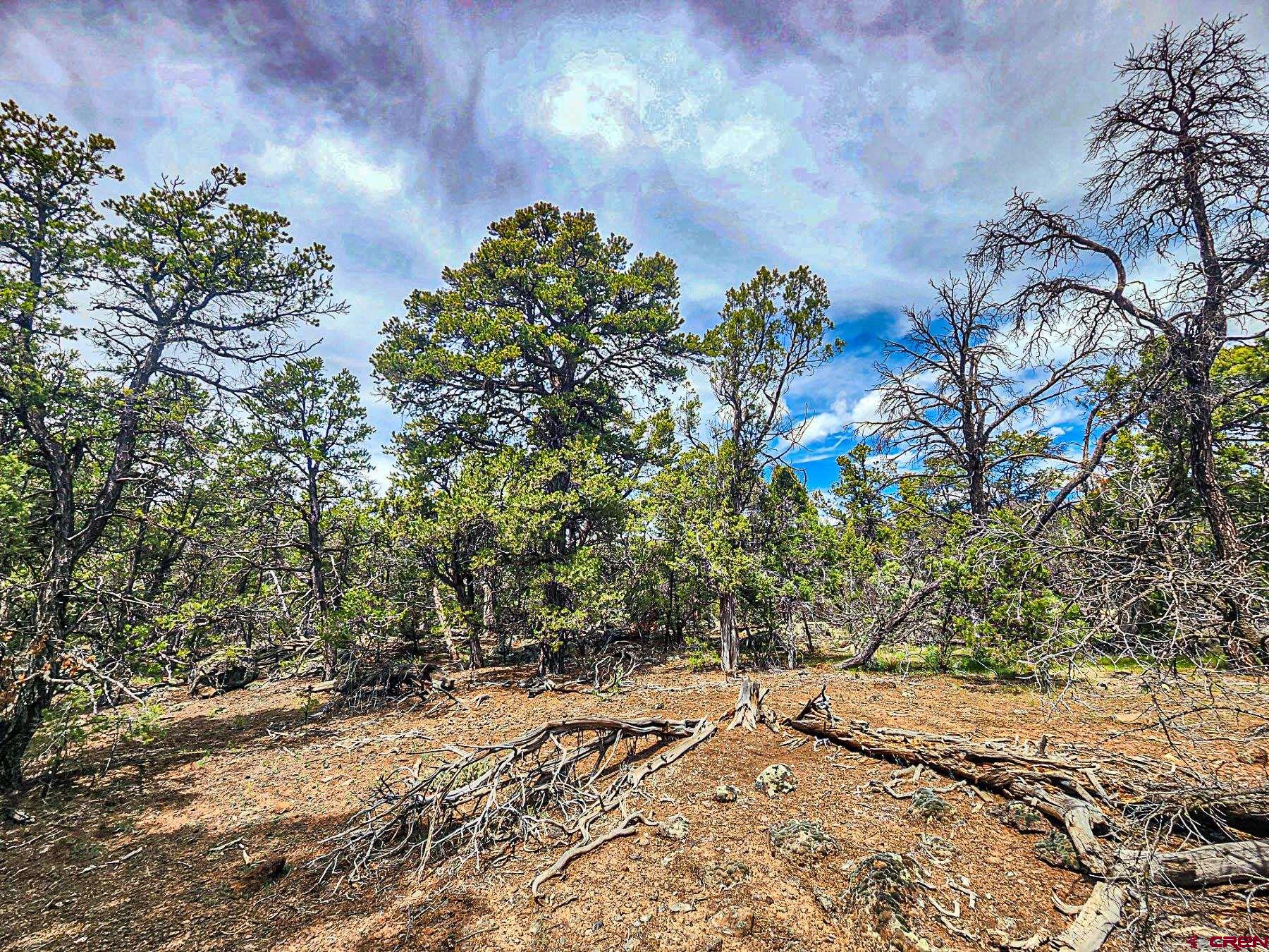 Lot 7 Wild Turkey Lane Cedaredge, CO 81413 - Photo 14 of 19 a view of a tree with a yard