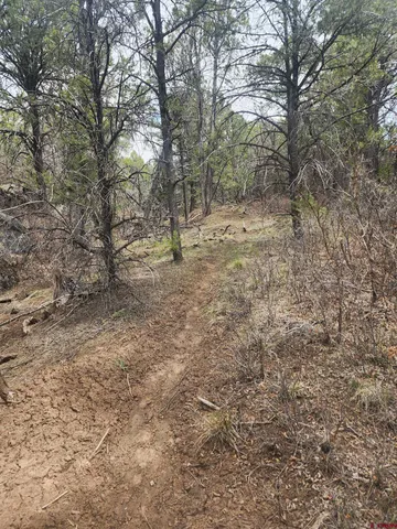 $175,000 | Lot 7 Wild Turkey Lane, Cedaredge, CO 81413