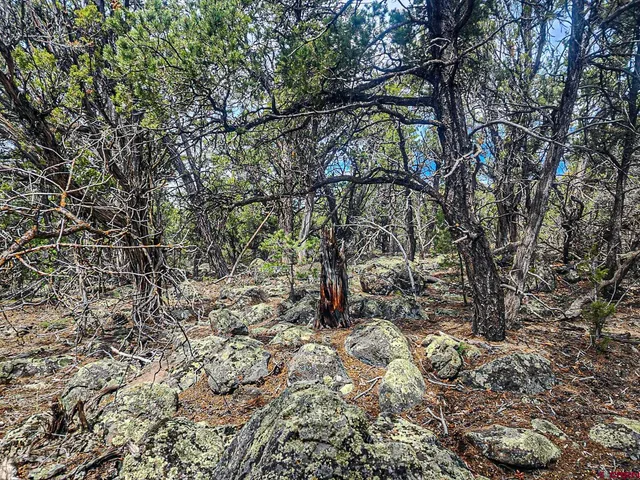 $165,000 | Lot 7 Wild Turkey Lane, Cedaredge, CO 81413